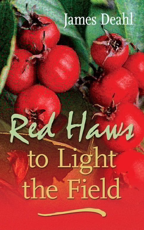 red haws, to light the field
