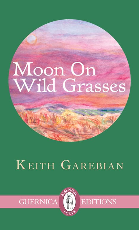 moon on wild grasses