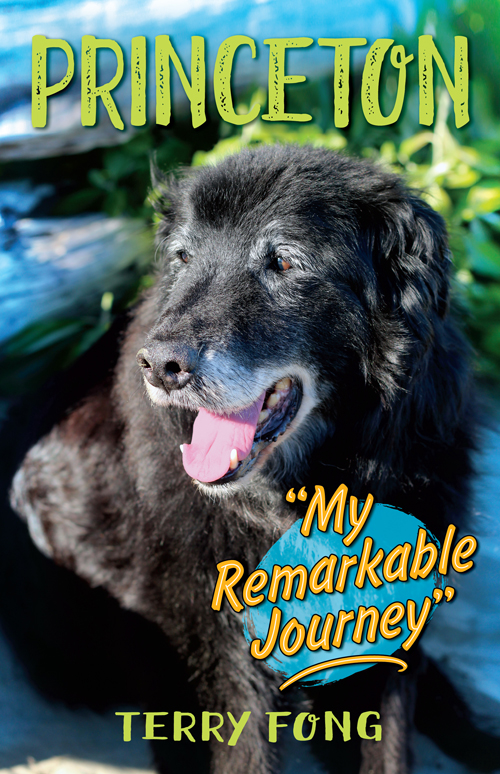 princeton, my remarkable journey